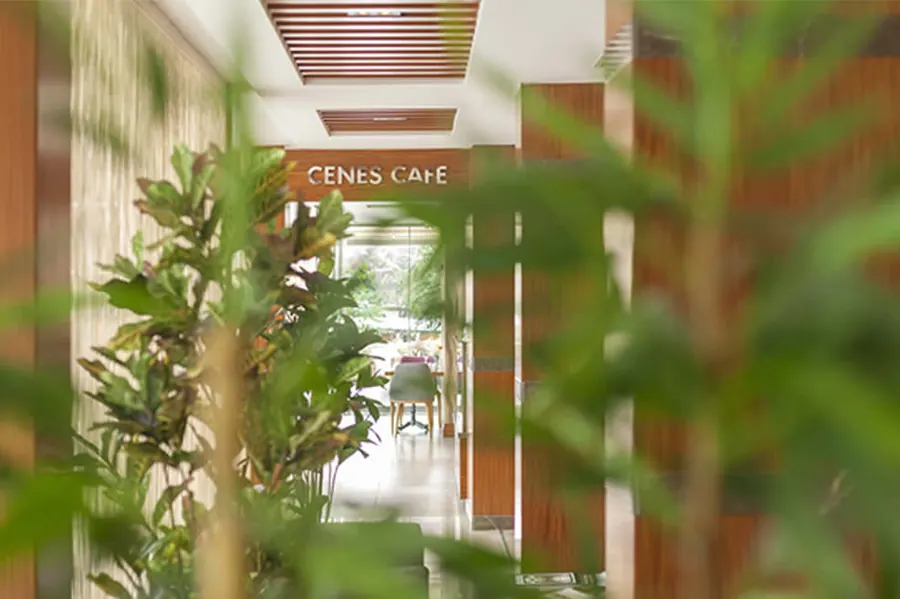 Cenes Terrace Café & Bistro