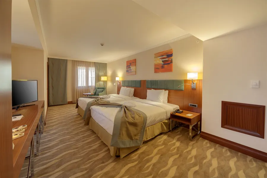 Standard Twin Room