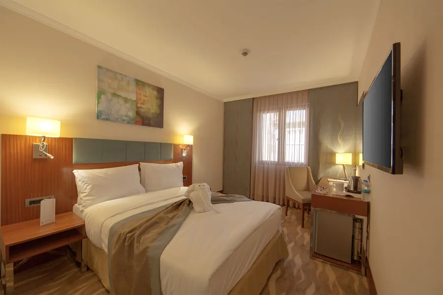 Room with a double bed