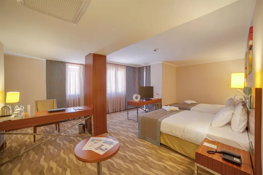 Deluxe Twin Room