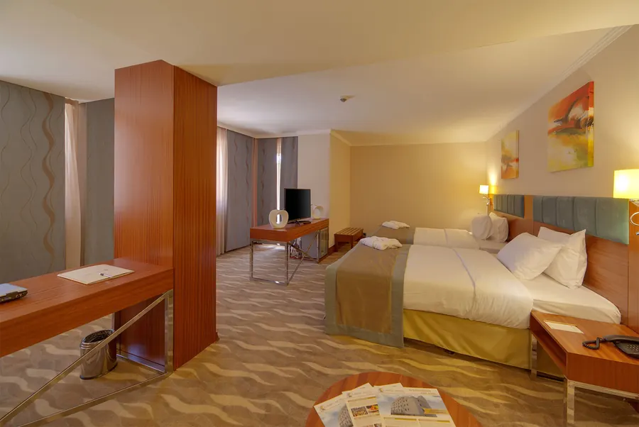 Spacious twin room